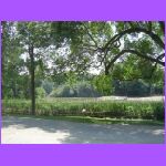 Wild Life Sanctuary 2.jpg